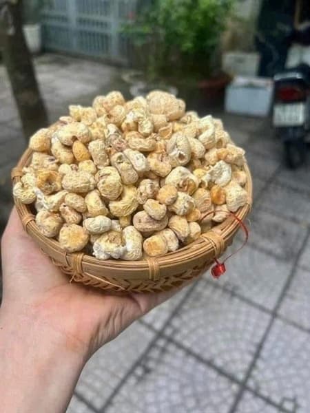 Bỏng ngô Gừng 2