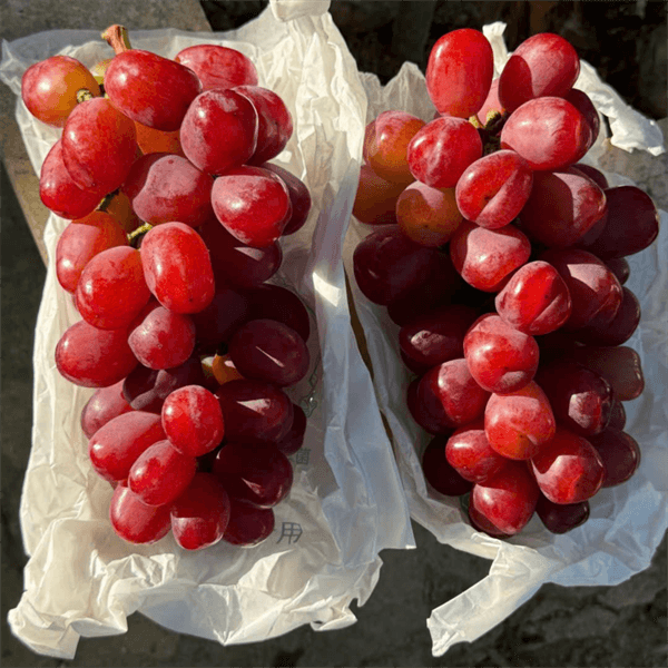 Nho sữa đỏ trái tim