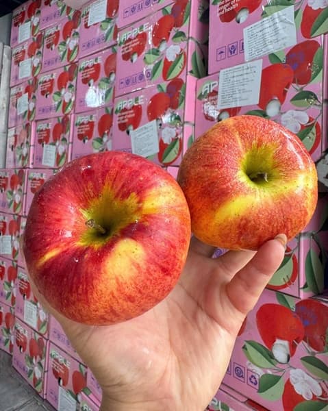 Táo hồng Côn Minh Vân Nam 2