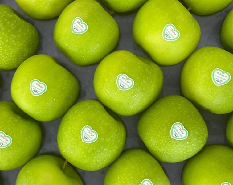 Táo xanh Granny Smith s80 2