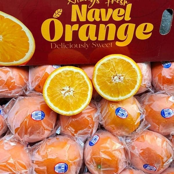 Cam kính Đài Loan