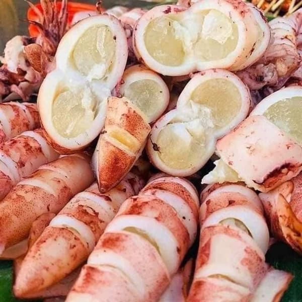 Mực trứng nháy Cửa Lò 4