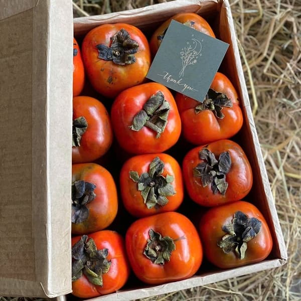 Hồng vuông Đà Lạt