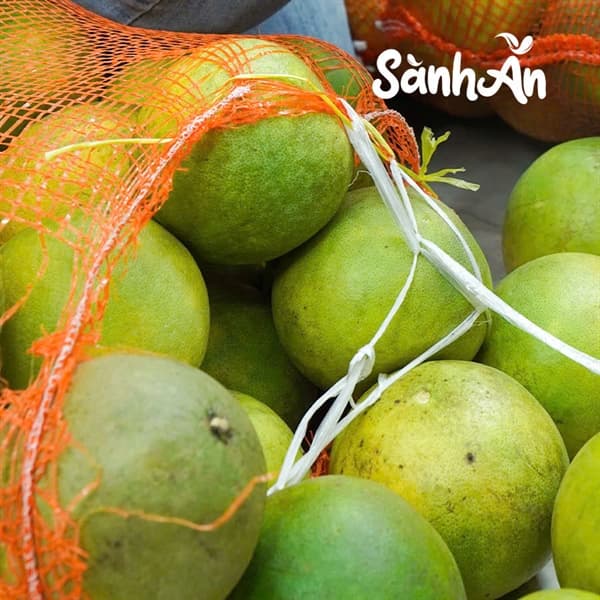 Bưởi đường Soi Hà