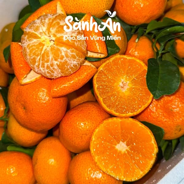 Quýt không hạt Vân Nam 3