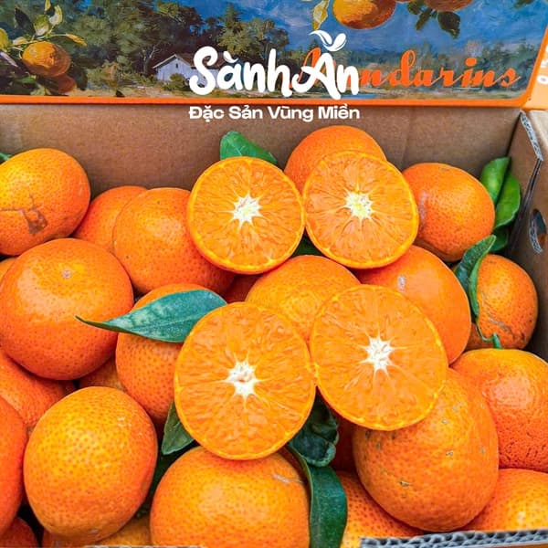 Quýt không hạt Vân Nam 4