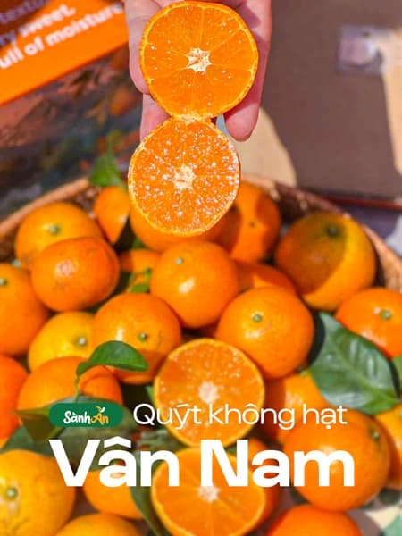 Quýt không hạt Vân Nam 2