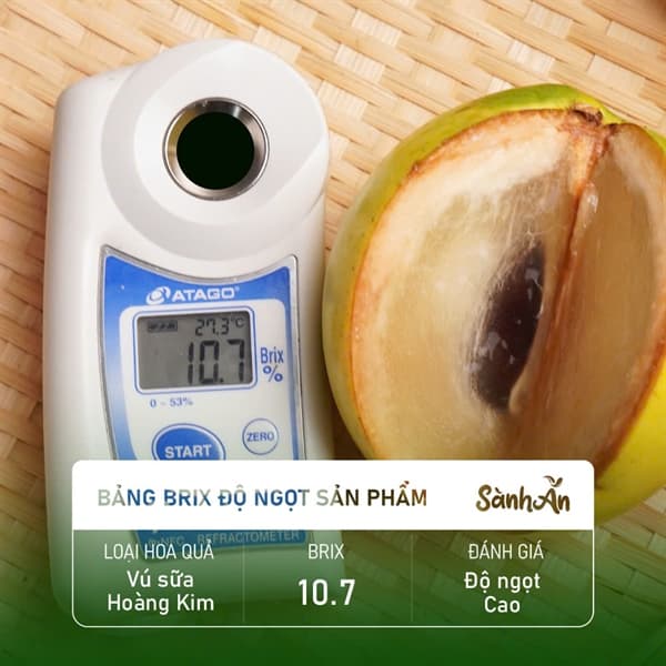 Vú sữa Hoàng Kim 4