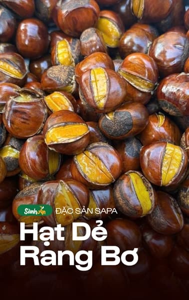 Hạt dẻ Sapa nướng 1KG 3