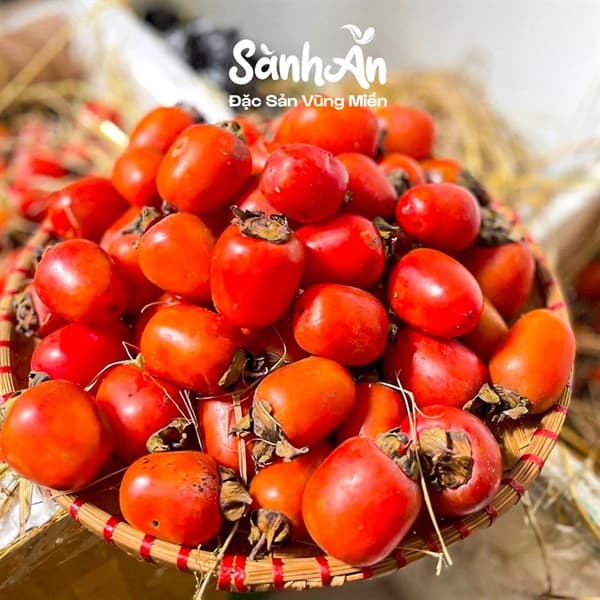 Hồng sáp cổ Nghệ An 3