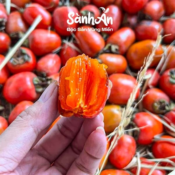 Hồng sáp cổ Nghệ An 2