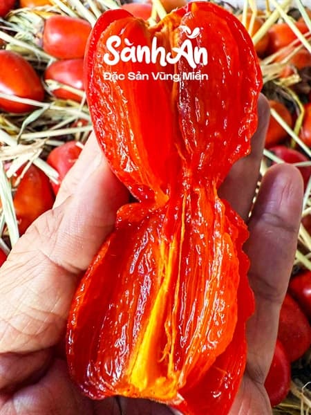 Hồng sáp cổ Nghệ An