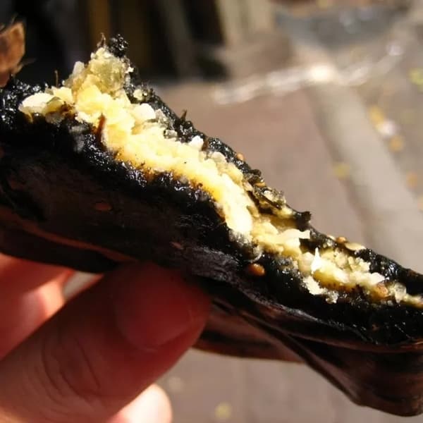 Bánh Gai Bà Thi Nam Định 2