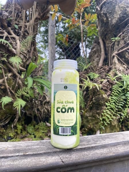 Sữa chua uống cốm non 2