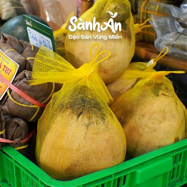 Dừa sáp Trà Vinh 3