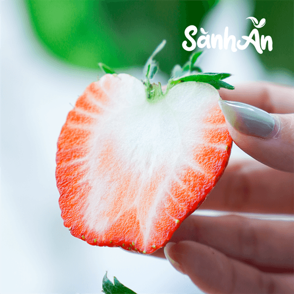 Dâu tây Mộc Châu size to 3