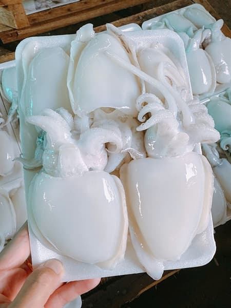 Mực Nang Nút Nha Trang 500g