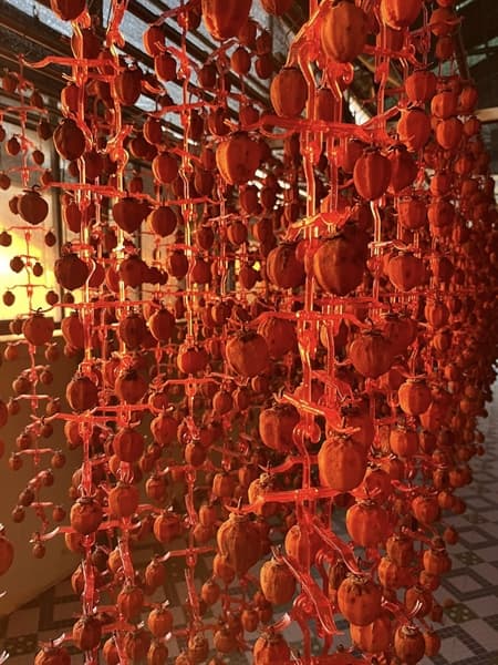 Hồng treo gió Lạng Sơn 3