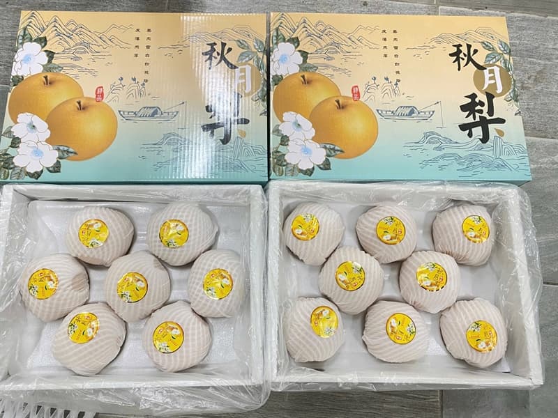 Lê Nhật Sơn Đông 2