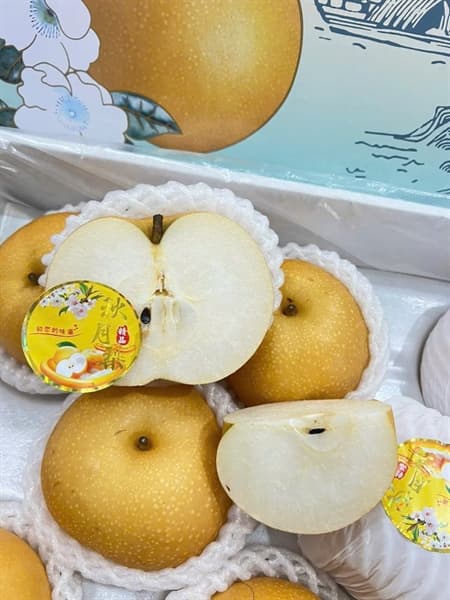 Lê Nhật Sơn Đông 3