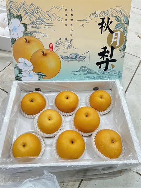 Lê Nhật Sơn Đông