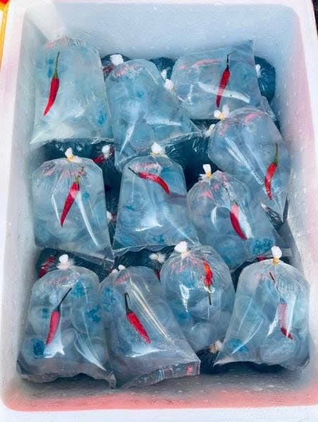 Nuốc Huế nguyên con 2