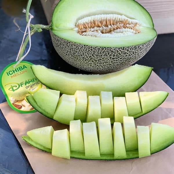 Dưa lưới Ichiba Nhật Bản