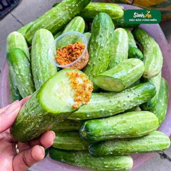 Dưa chuột nếp Nghệ An