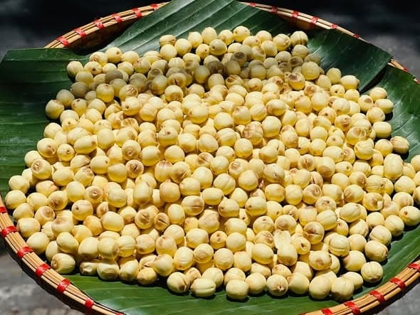 Hạt sen Hội An 1Kg 3