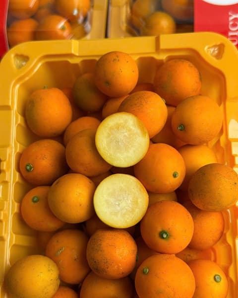 Kim quất Đài Loan 400g 4