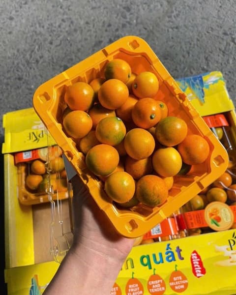 Kim quất Đài Loan 400g
