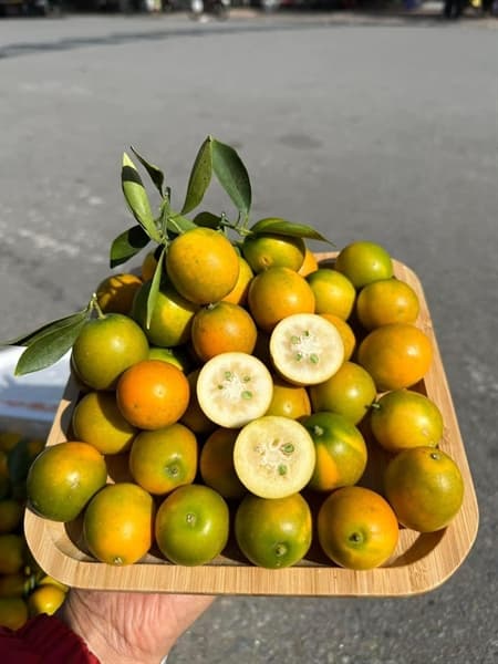 Kim quất Đài Loan 400g 3
