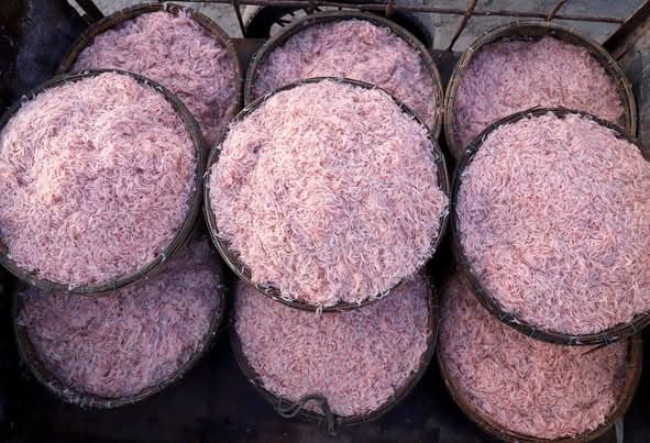 Mắm tôm Lê Gia 280g 3