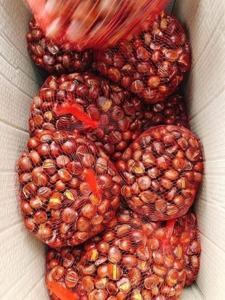 Hạt dẻ rang bơ 3