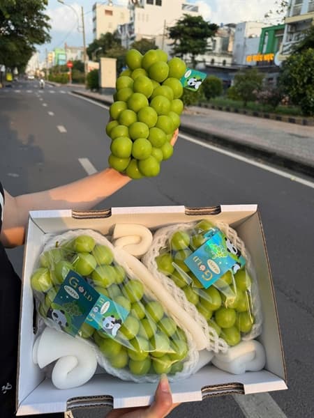 Nho sữa Gấu Trúc 3