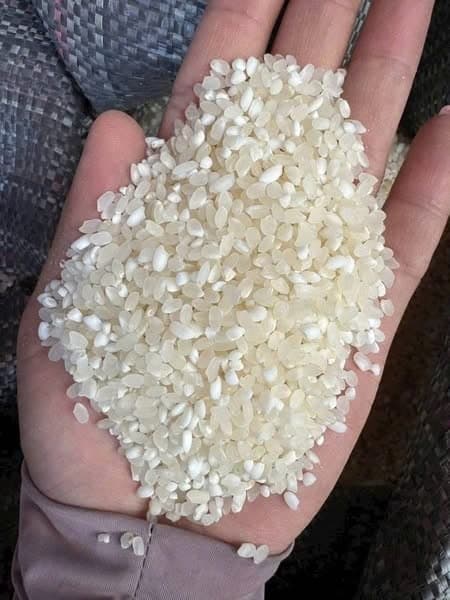 Gạo nếp nương Tan Lào 1kg 2