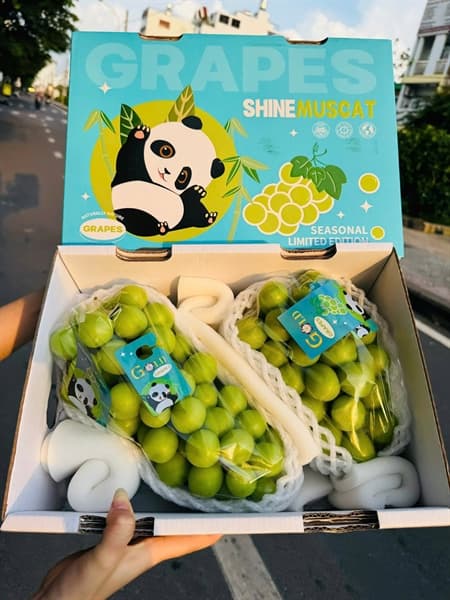 Nho sữa Gấu Trúc 2