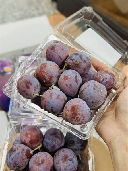 Mận đường nhót Prunes 4