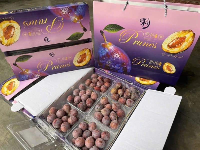 Mận đường nhót Prunes 5