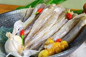 Cá mối phi lê 1 nắng 3