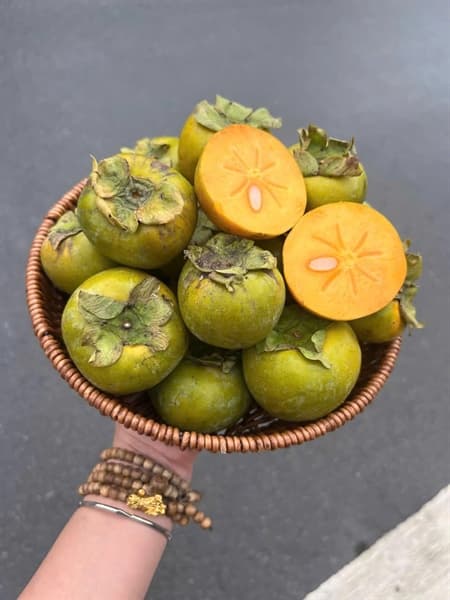 Hồng giòn chín nên Đà Lạt 3