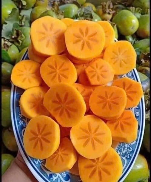 Hồng Vành Khuyên 2