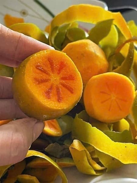 Hồng Vành Khuyên 3