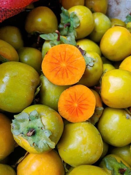 Hồng Vành Khuyên 4