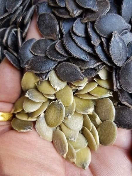 Hạt bí mèo rang củi LHY