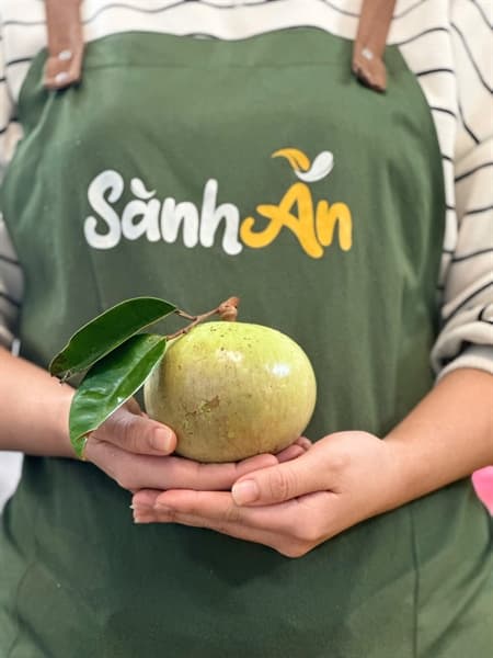 Vú sữa bơ Tiền Giang