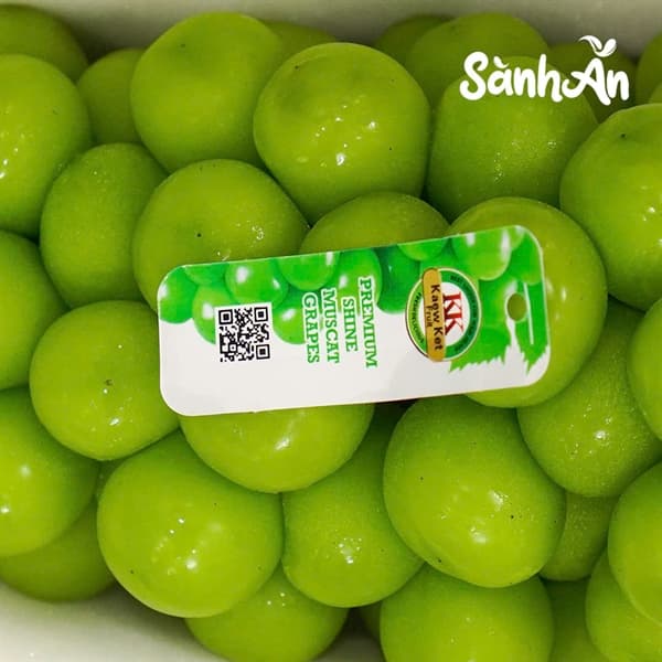 Nho sữa KK hộp thuyền 3