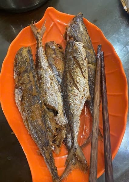 Cá thu non 1 nắng 3