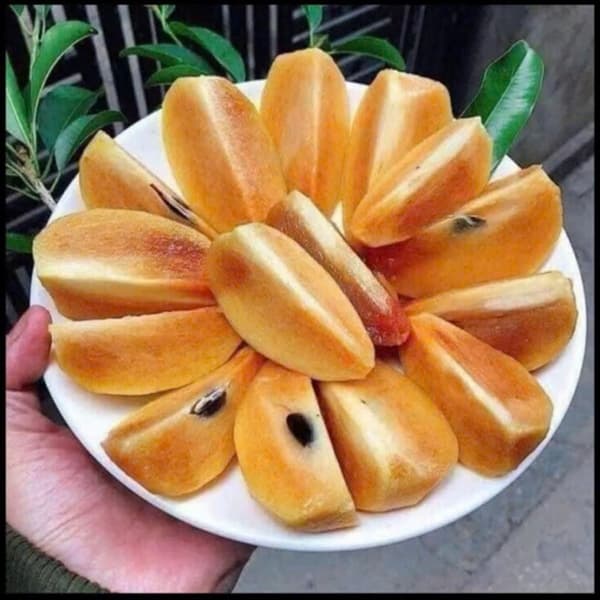 Hồng xiêm Tiền Giang 3