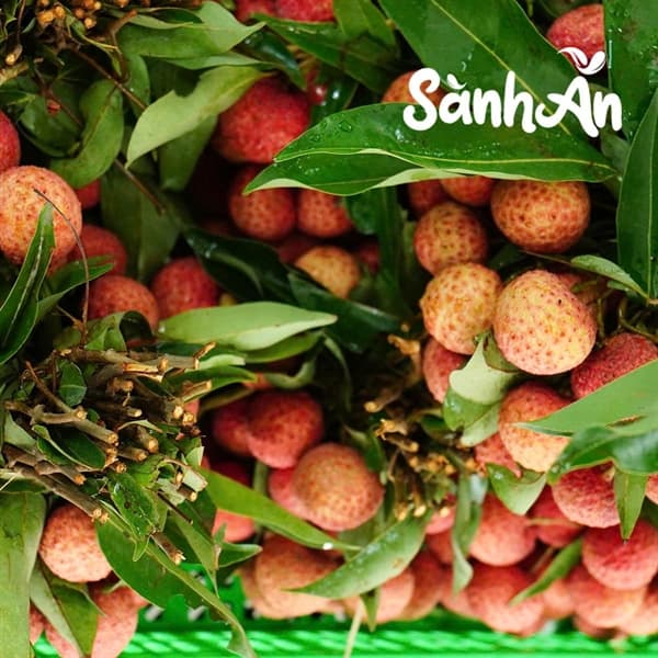 Vải thiều Bắc Giang 3